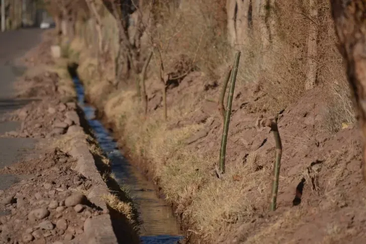 531653110_17879703921380055_6428107787325709907_n-728x485