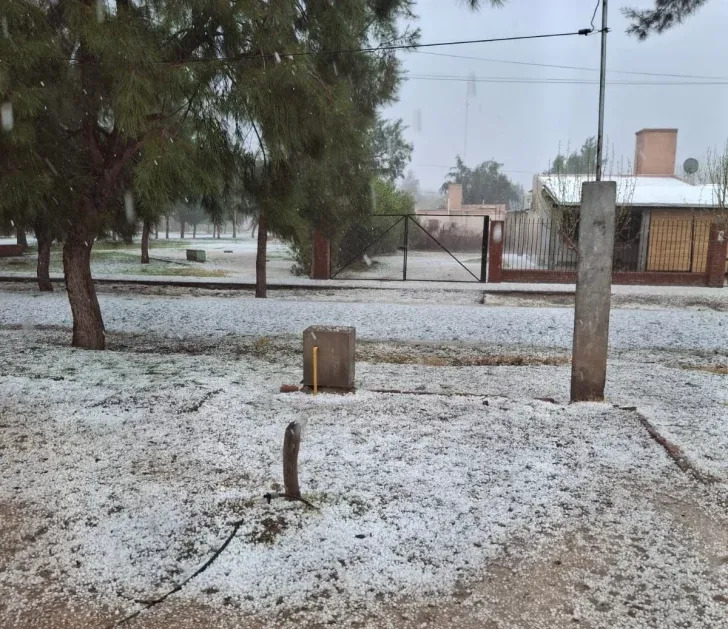 a9f1af85-13be-4718-8a01-36f6103d169b-728x629