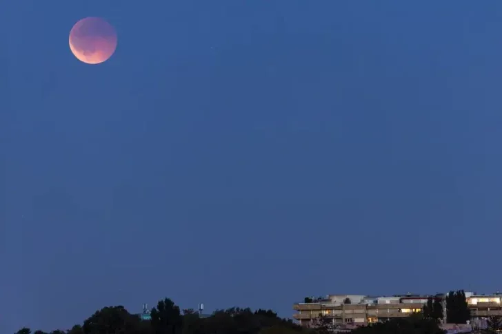 68bdf0f270e5f-728x485 68bdf0f270e5f-728x485