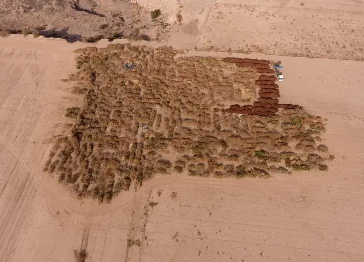 DCC230925-002F07-728x525