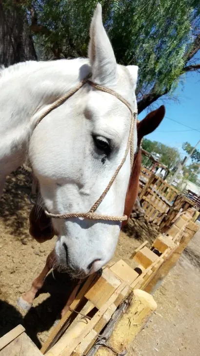 700fb172-7d32-4665-8e5b-04f968a357b5-410x728