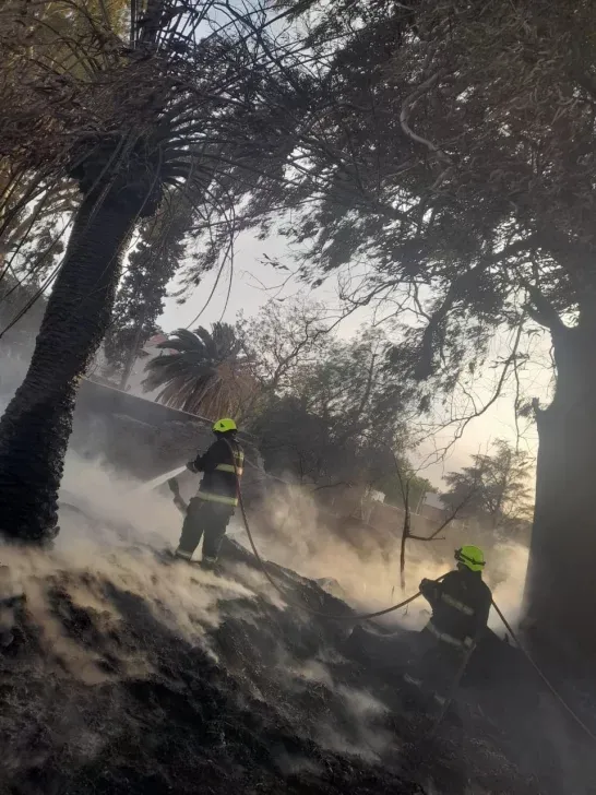 incendio-en-chinga-tu-madre2025-5-546x728 incendio-en-chinga-tu-madre2025-5-546x728