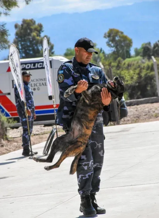 577303156_1238448734994984_237876156013825503_n-1-533x728