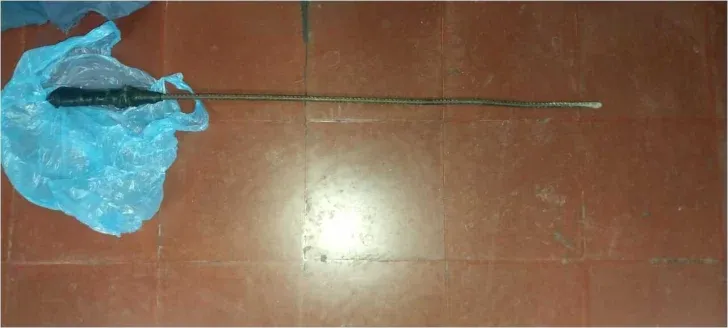 81361fd3-6b2f-4cc8-9339-70785705-728x328 81361fd3-6b2f-4cc8-9339-70785705-728x328