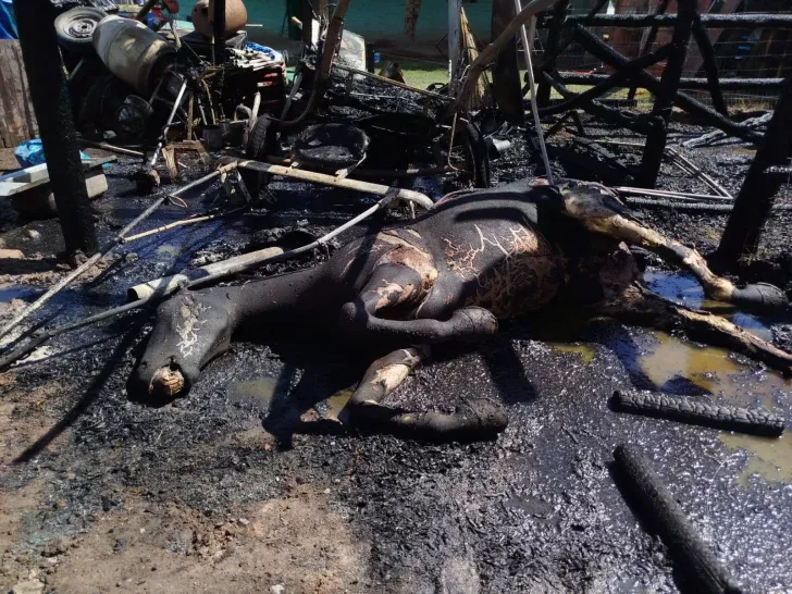 incendio-en-un-corral-de-pocito1-728x546 incendio-en-un-corral-de-pocito1-728x546