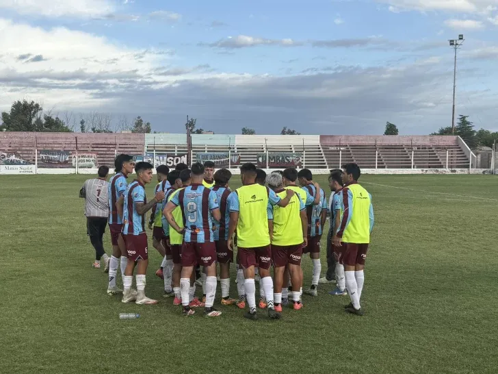 lechucitos-728x546 lechucitos-728x546