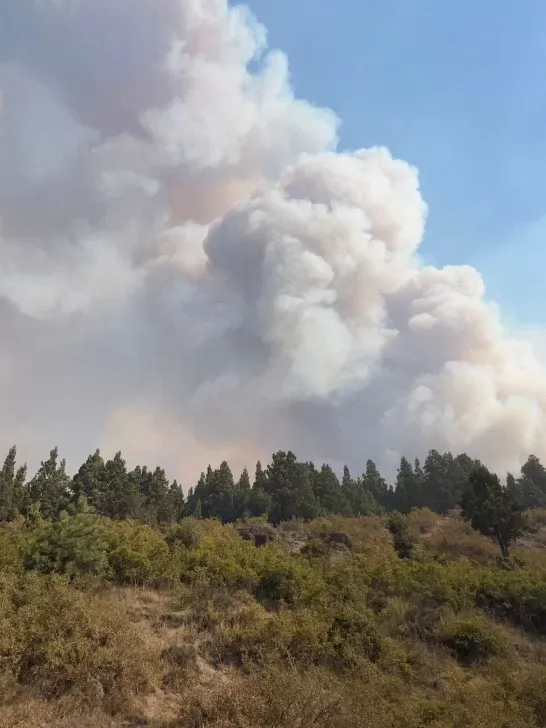 bomberos en chubut 2