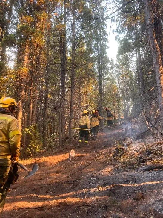 bomberos en chubut 3