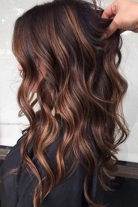 cabello-avellana2026-485x728