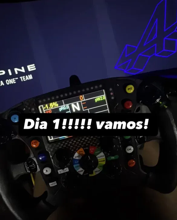 simulador-colapinto-14-585x728