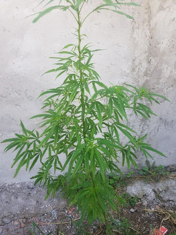 FBMD01000a840d0000dd3300002d7f0000d0860000ed91000079e00000f469010013720100ae7c010086890100c8730200 FBMD01000a840d0000dd3300002d7f0000d0860000ed91000079e00000f469010013720100ae7c010086890100c8730200