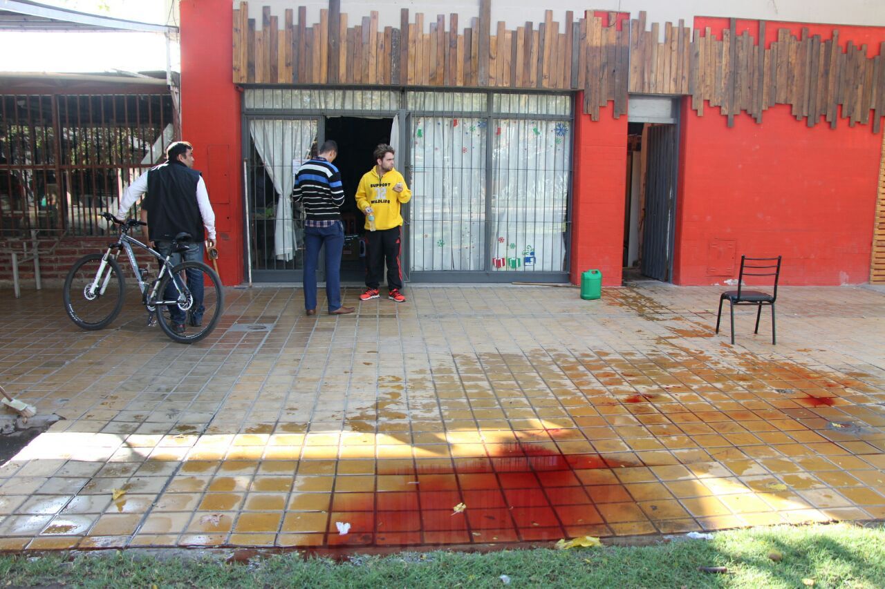 Gran explosión en Trinidad: fue en un negocio de instalación de equipos de GNC (Diario de Cuyo) Gran explosión en Trinidad: fue en un negocio de instalación de equipos de GNC (Diario de Cuyo)