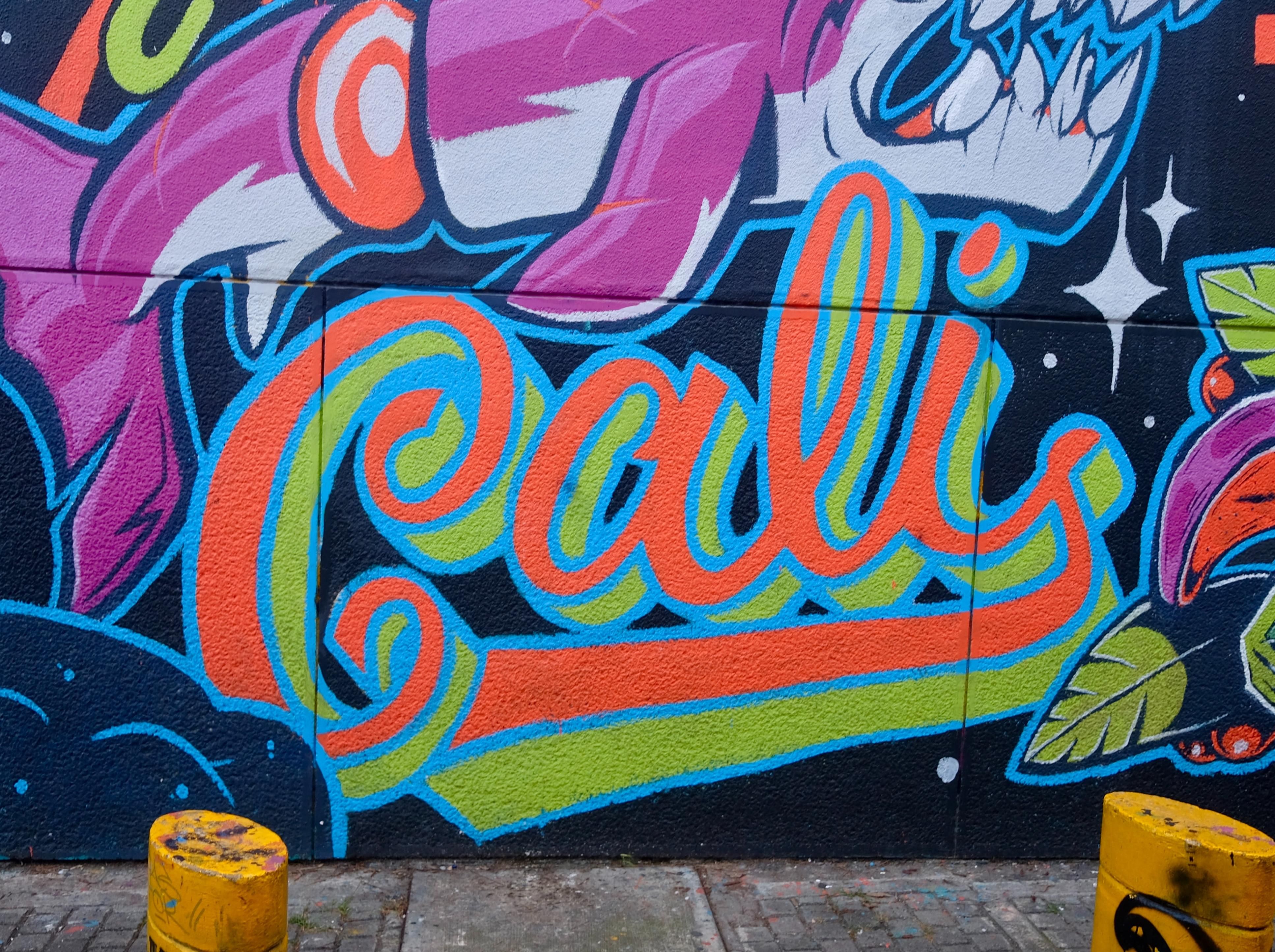 Barrios de cali para vivir