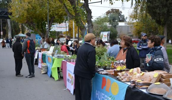 INFALTABLES: Las frutas y las verduras se convirtieron ya en el mayor atractivo de la feria agroproductiva por lo que se ofrecerán gran cantidad de bolsones con importantes descuentos al igual que en las ediciones anteriores. INFALTABLES: Las frutas y las verduras se convirtieron ya en el mayor atractivo de la feria agroproductiva por lo que se ofrecerán gran cantidad de bolsones con importantes descuentos al igual que en las ediciones anteriores.