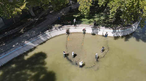 Retiraron a los peces del Lago del Parque de Mayo.