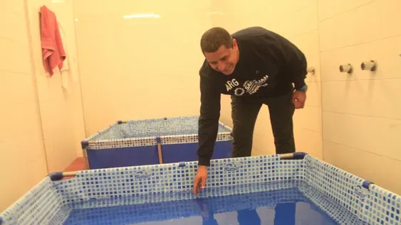 Selección: Detrás de escena