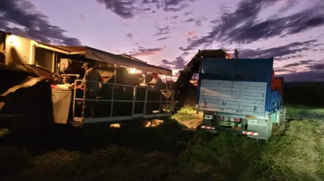 La difícil situación que vive el sector del tomate para industria