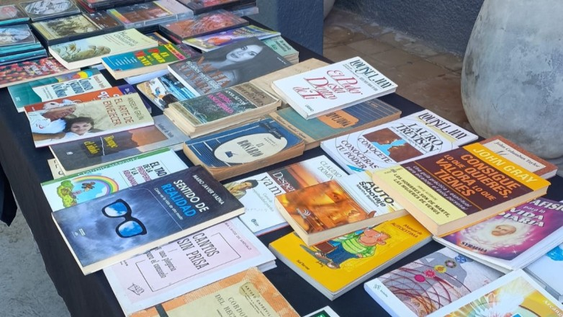 miles de libros coparan la escena en la peatonal y los sanjuaninos se los podran llevar a sus hogares gratis