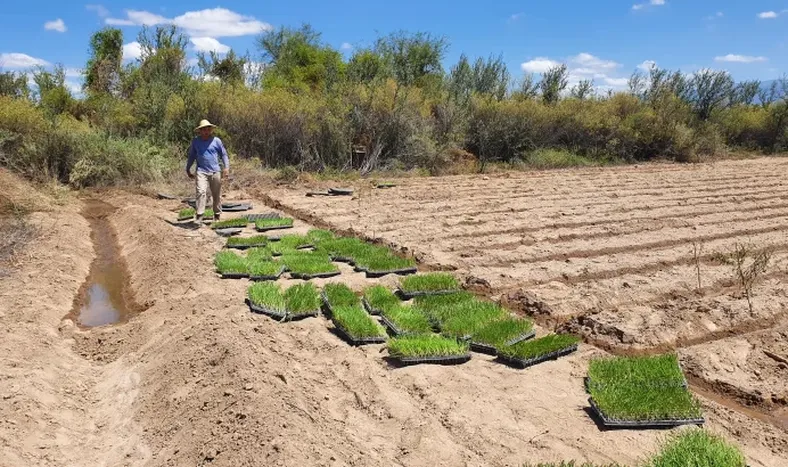 Aplauso para los agricultores