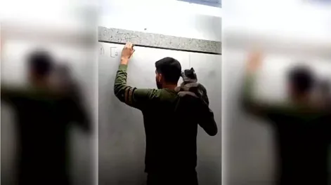 Un profesor de Matemáticas da clases con un gato en el hombro y es viral