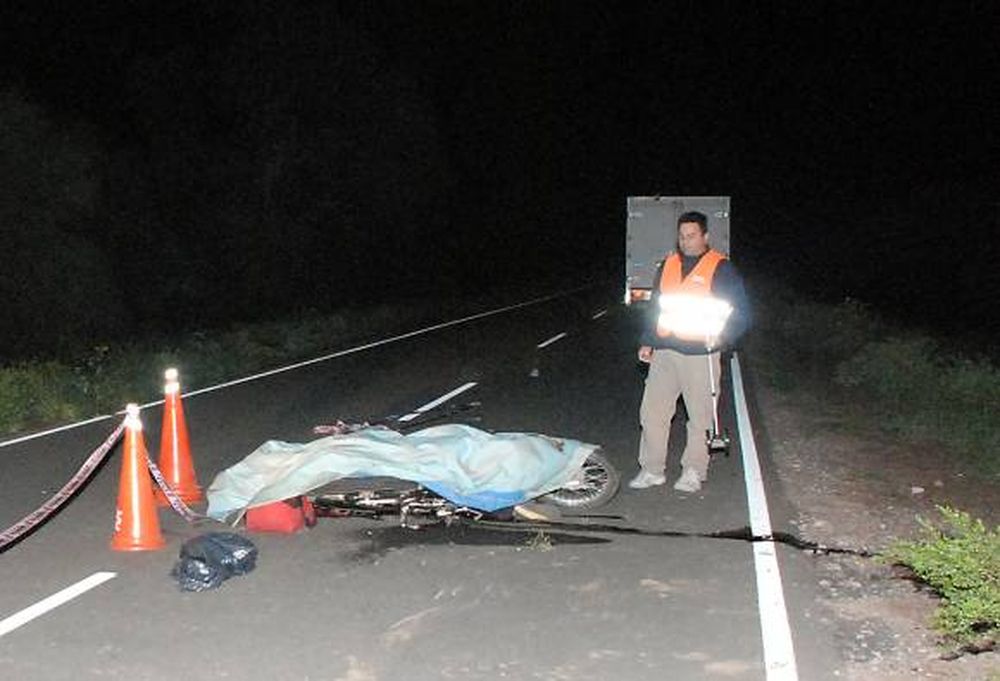 Chocó a un animal y falleció