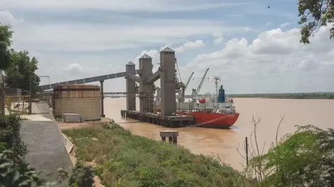 LA SALIDA DE GRANOS desde Sudamérica hacia China experimentará un considerable aumento debido a la guerra comercial entre Washington y Pekín.