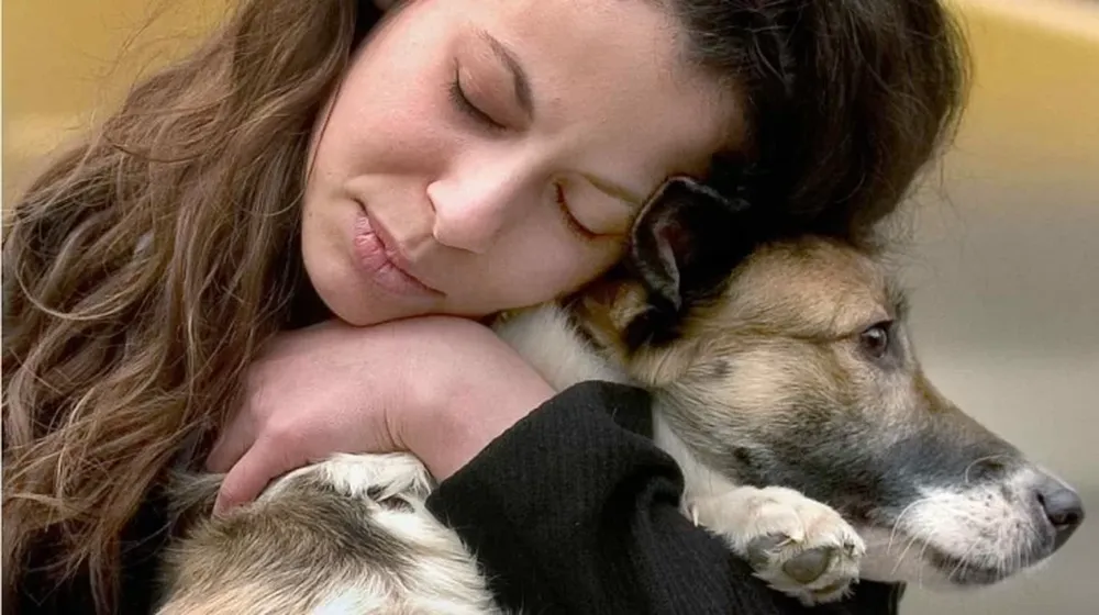 Dime cómo eres y te diré con qué perro te llevarás mejor