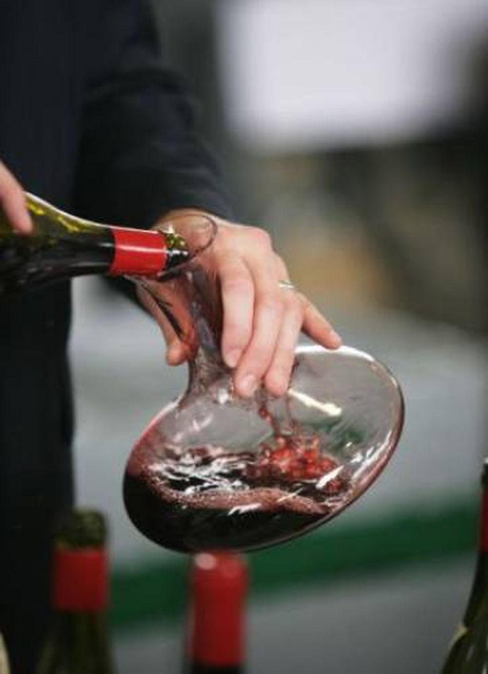Sommelier, la nueva carrera de la UCC