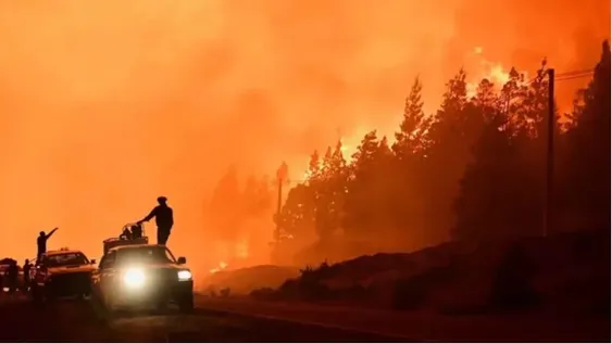 Más de 40 mil hectáreas fueron arrasadas por el fuego.