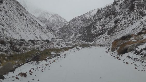 Con una gran nevada estiman que se acumularon 12 cm en Calingasta