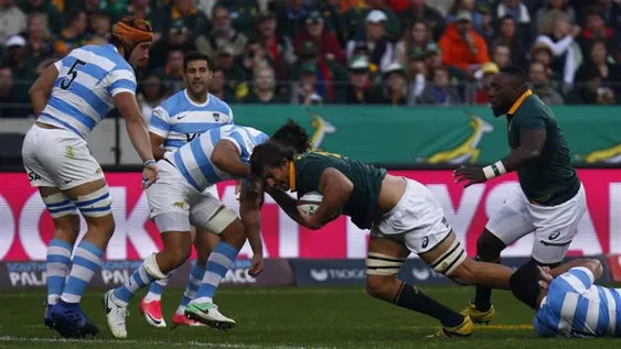 Los Pumas, de mayor a menor: debut con derrota ante los Springboks