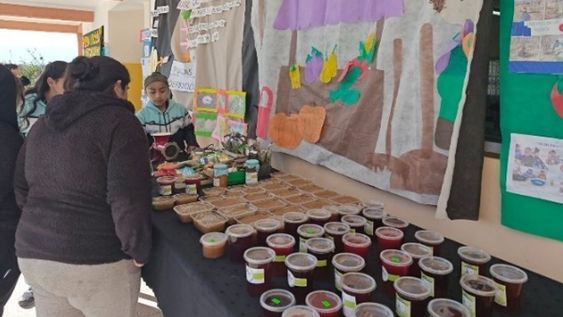 escuelas en accion