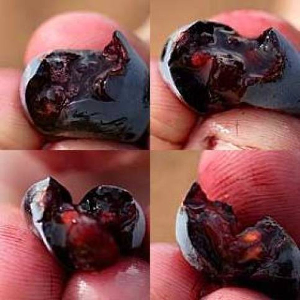 “Uvas tintoreras producen impacto en la elaboración de los vinos”