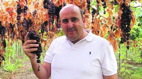 El sistema de secado en parral de la uva reduce el 50% de los costos