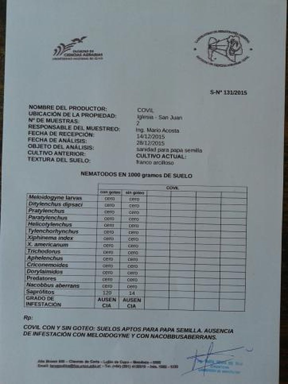 Los valles cordilleranos y la oportunidad para hacer papa