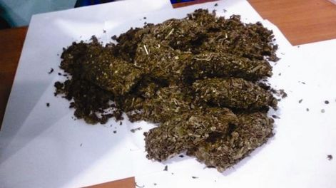 Imagen ilustrativa.-