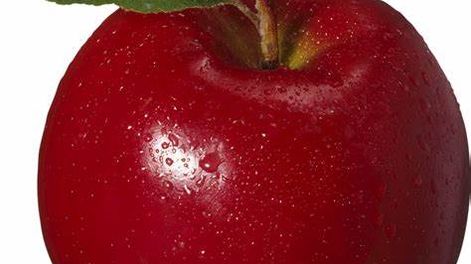 Australia: chip podría detectar madurez de fruta