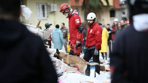 Terremoto en Turquía: confirmaron que no hay víctimas argentinas