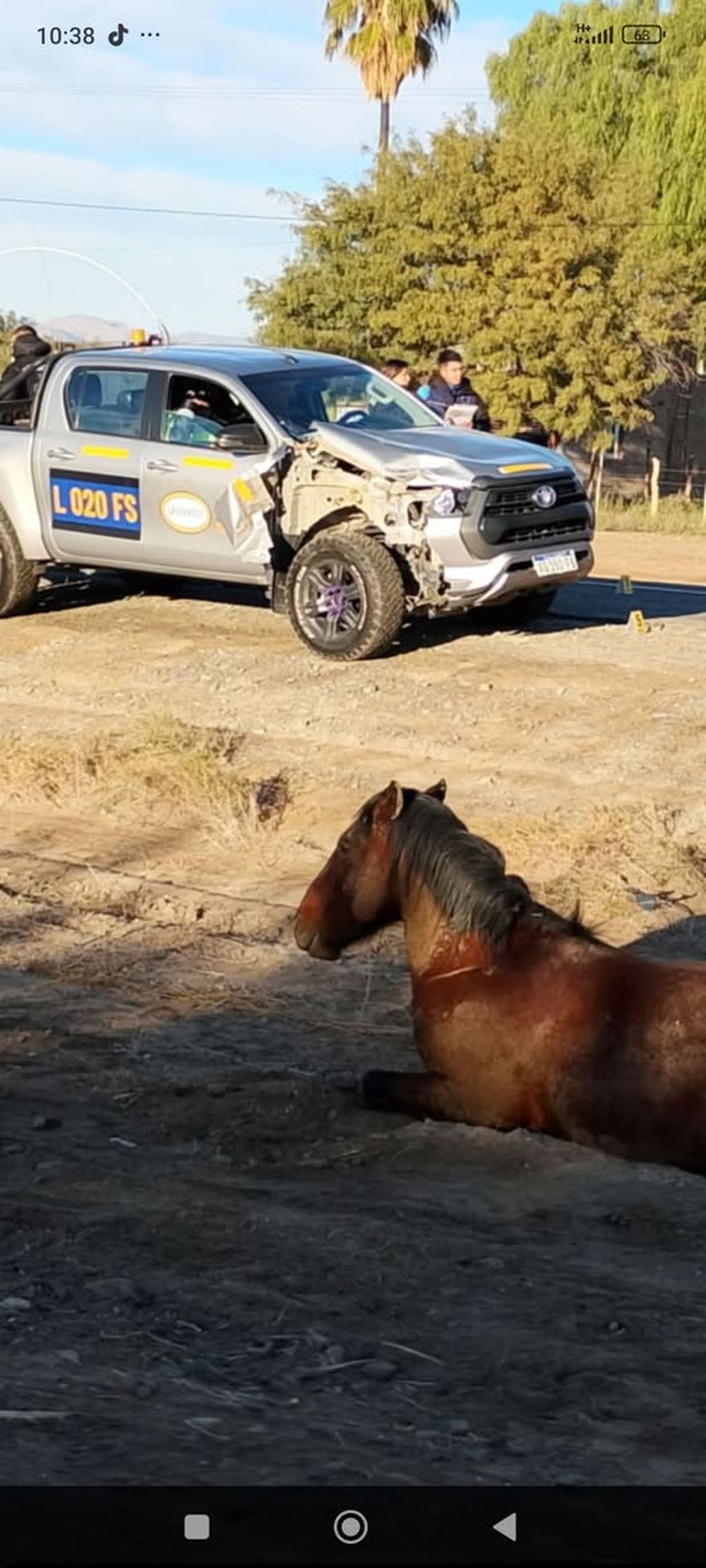 La camioneta siniestrada y el animal. Foto: Radio Norte Jáchal.