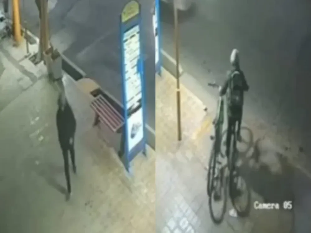 [VIDEO] Ingresó a un consorcio y se llevó dos bicicletas, valuadas en más de medio millón de pesos juntas