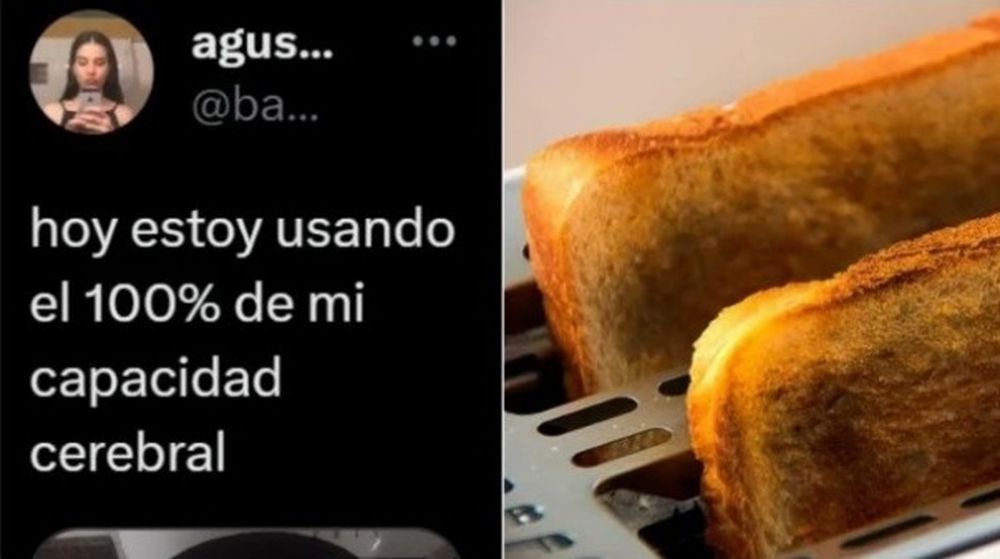 Encontró la forma definitiva para que los sandwiches se doren de forma pareja en la tostadora