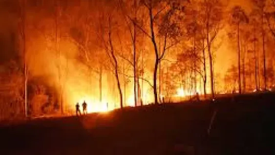 Una variación genética de la testosterona explicaría cuadros más graves en hombres