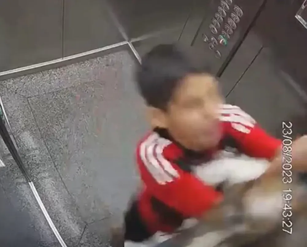 ¡Un milagro! Un nene de 11 años salvó a su perrita de morir ahorcada en el ascensor
