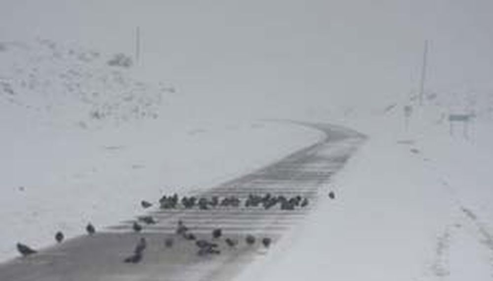 El paso a Chile por Mendoza, cerrado hasta nuevo aviso