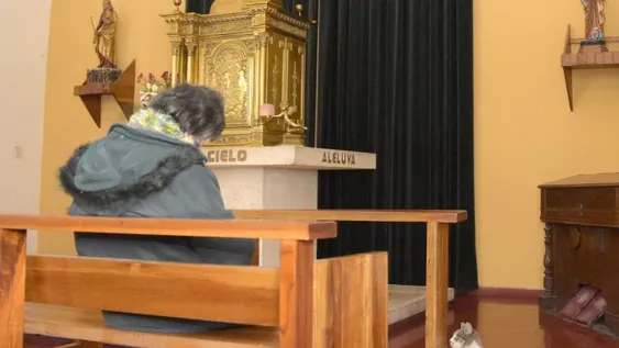 Michi, la mascota que tiene la Catedral