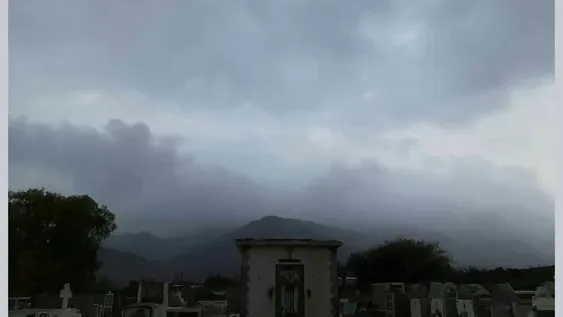 Una edición en su honor