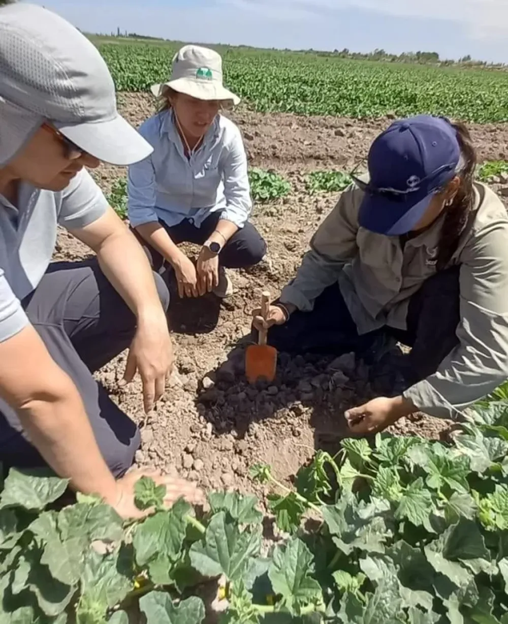 Jornada a campo sobre melón