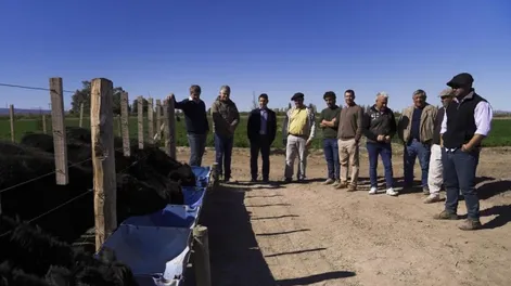 Integran eslabones de cadena productiva