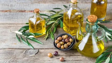 Llega la Expo Olivícola abierta al público y con lo mejor del aceite de oliva