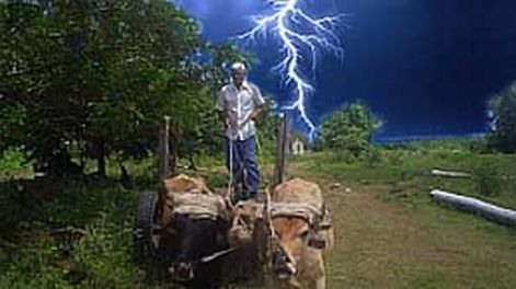 Sobrevivió a seis rayos